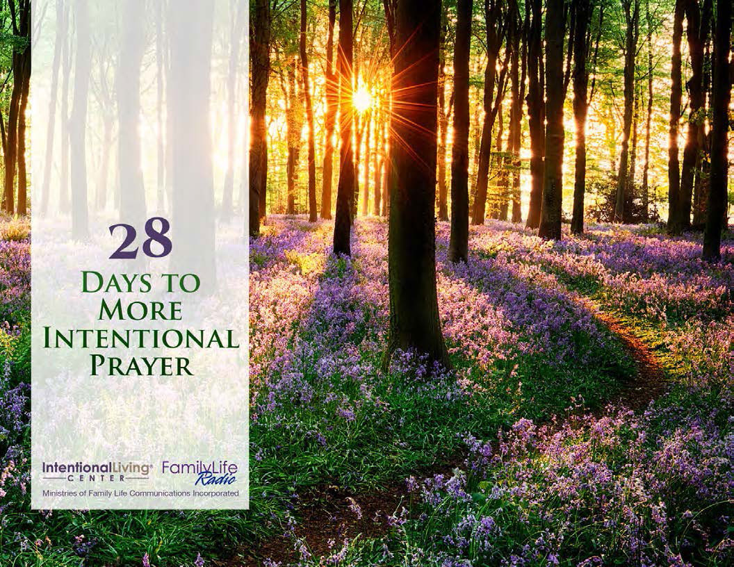 28 Days to More Intentional Prayer eBook