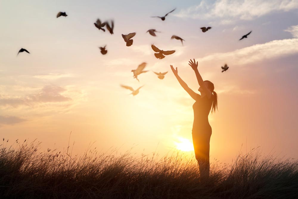 Freedom and Forgiveness