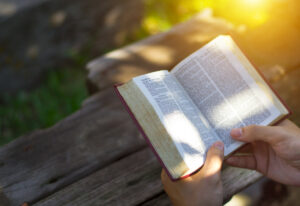 God's Plan for Your Life