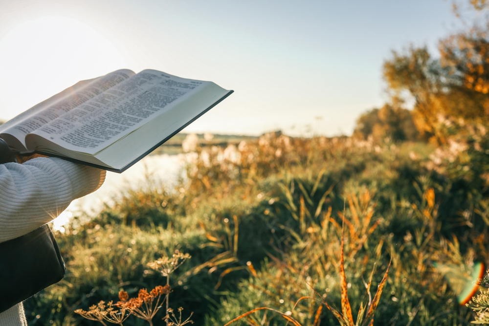 When Your Heart Pulls One Way