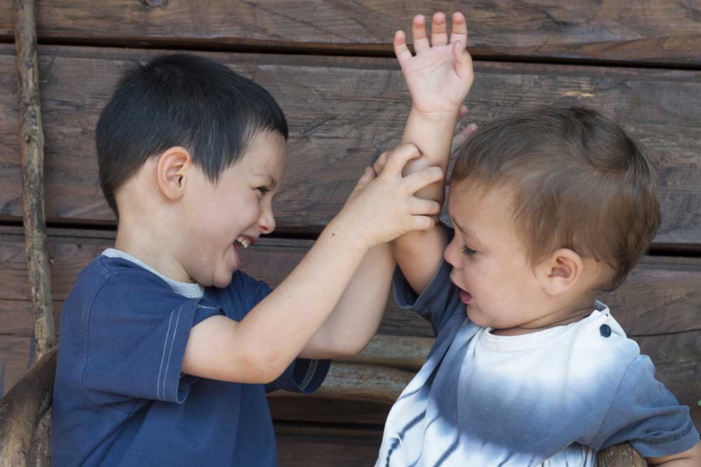 Sibling Rivalry - Intentional Living